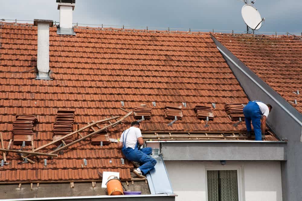 Common Roof Issues Detected During a Professional Roof Inspection