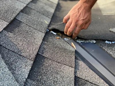 How Roof Inspection Companies Can Help Identify Early Signs of Wear and Tear?