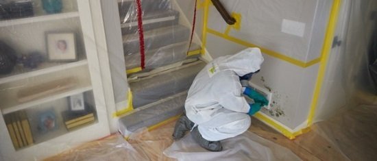 When to Call Mold Remediation Services After a Home Inspection