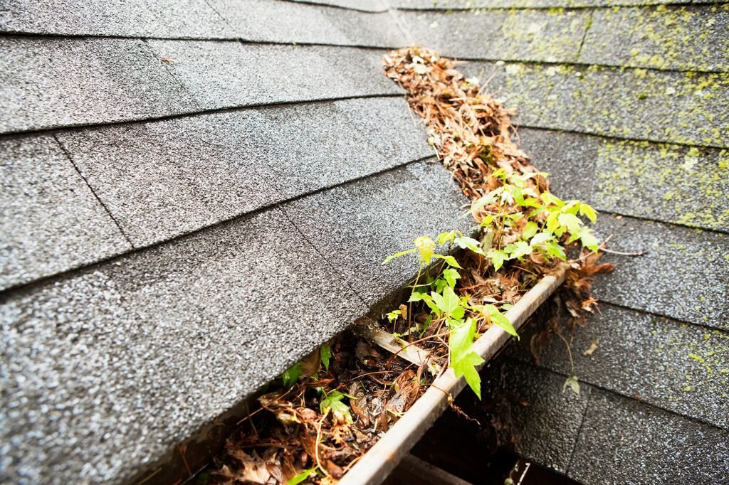 The Seasonal Gutter Maintenance Checklist for Palm Coast Residents