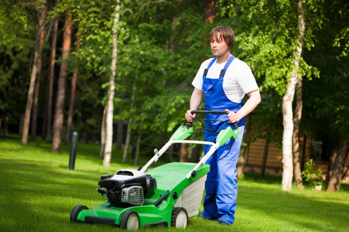 How to Start a Lawn Treatment Franchise: A Step-by-Step Guide