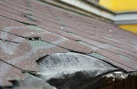 How do Commercial Roof Professionals Assess and Address Roof Damage?